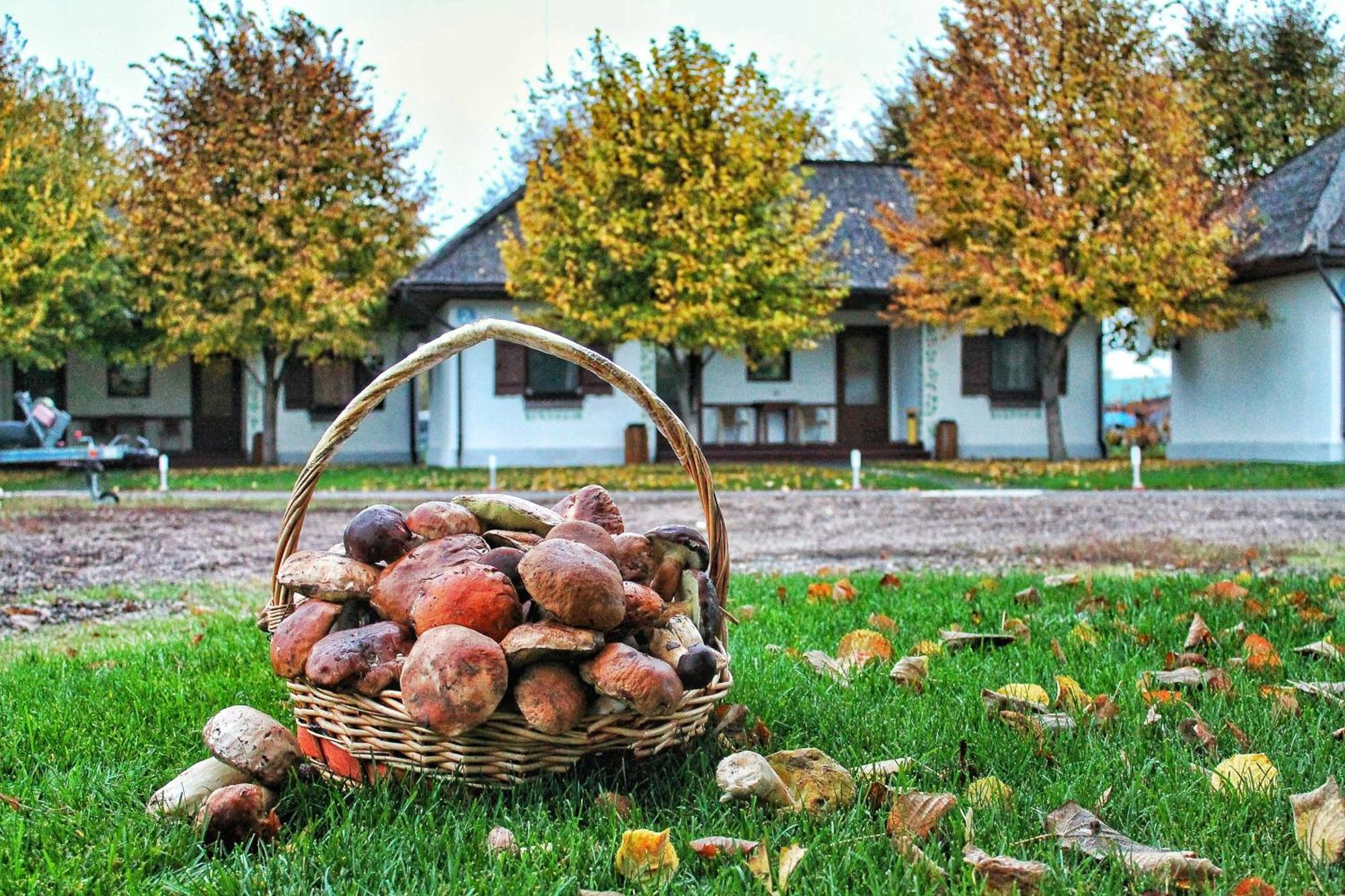 Bereg Holiday Park Svetlogorskoye Ngoại thất bức ảnh