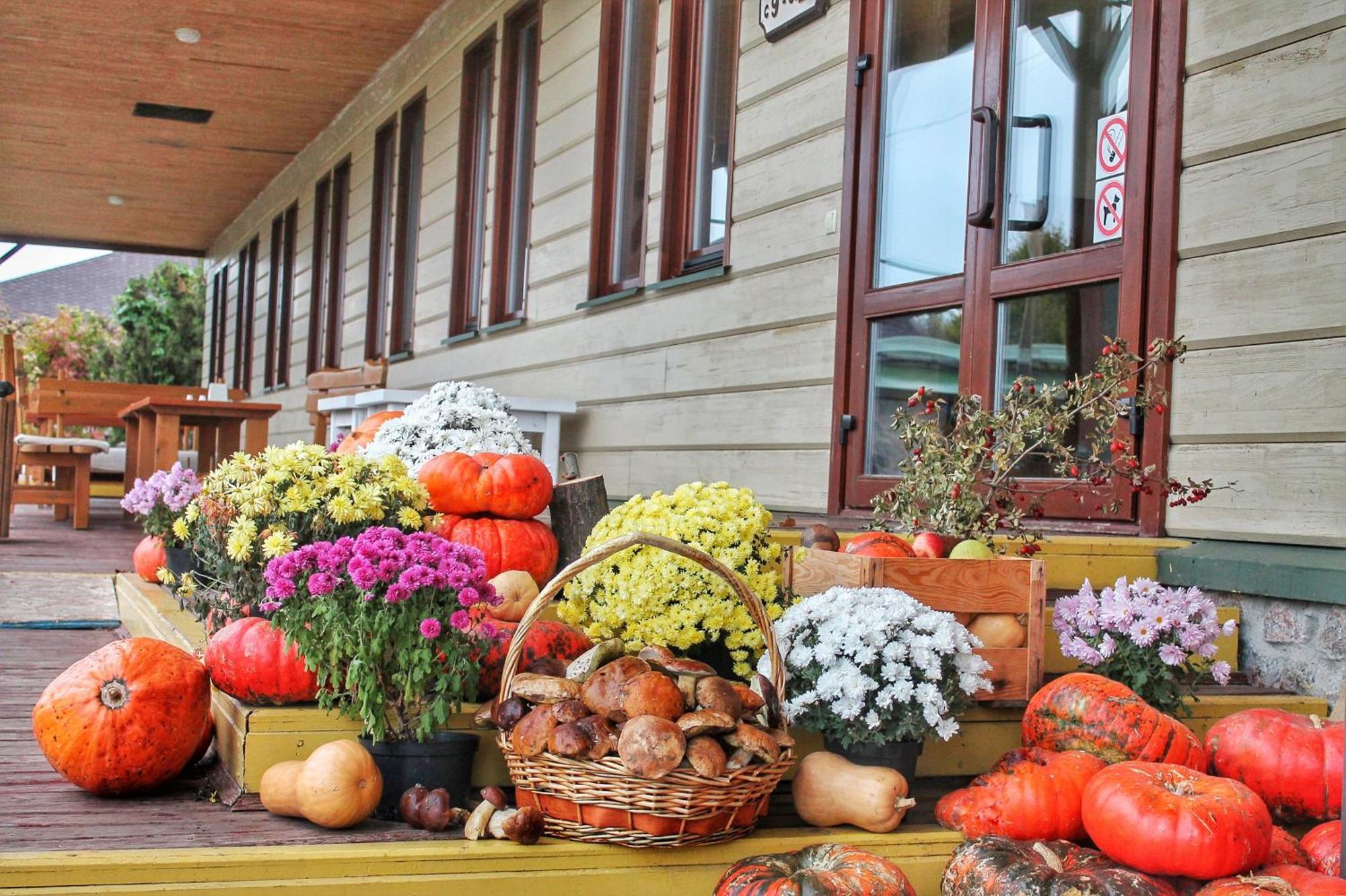 Bereg Holiday Park Svetlogorskoye Ngoại thất bức ảnh